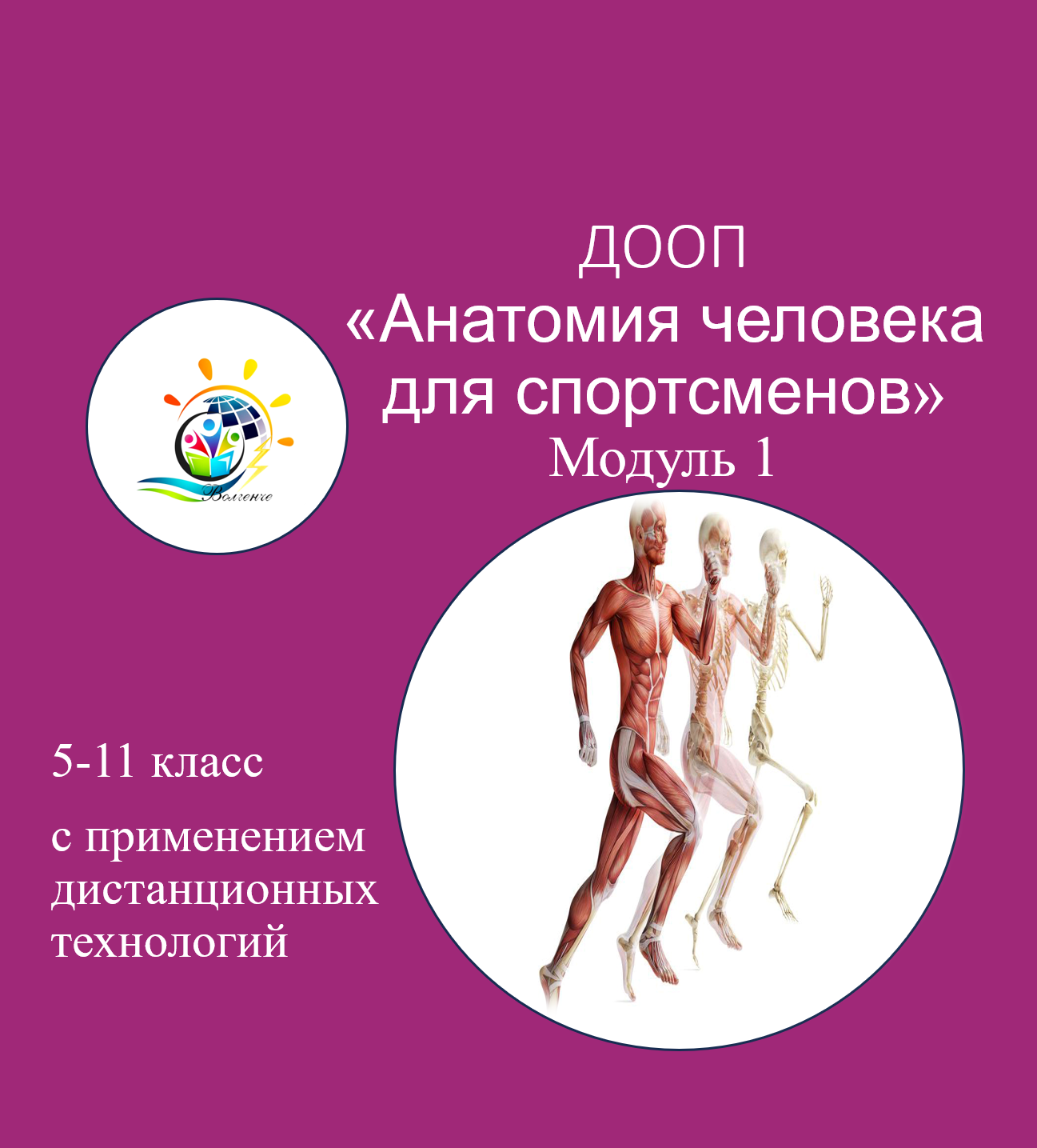 ДООП "Анатомия человека для спортсменов" модуль 1