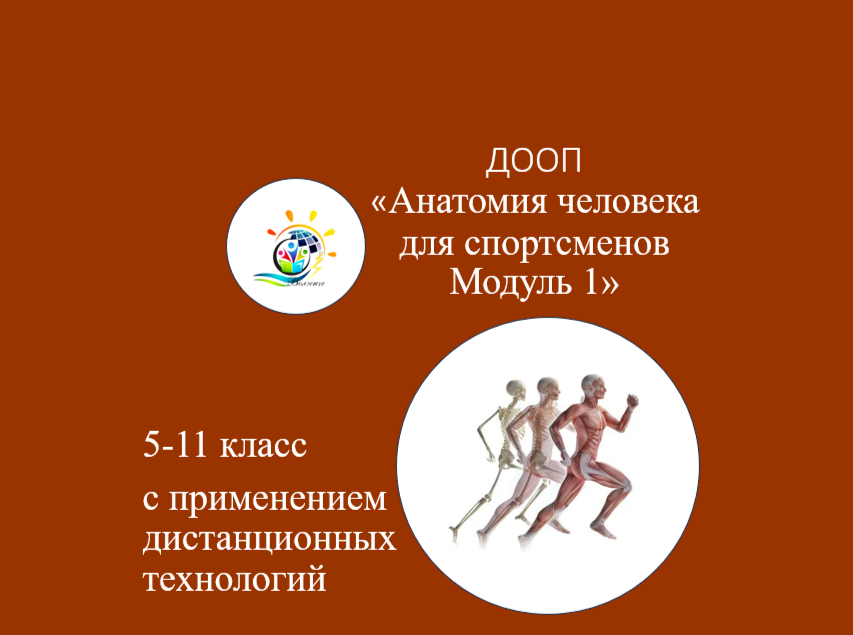 ДООП Анатомия человека для спортсменов. Модуль 1_д