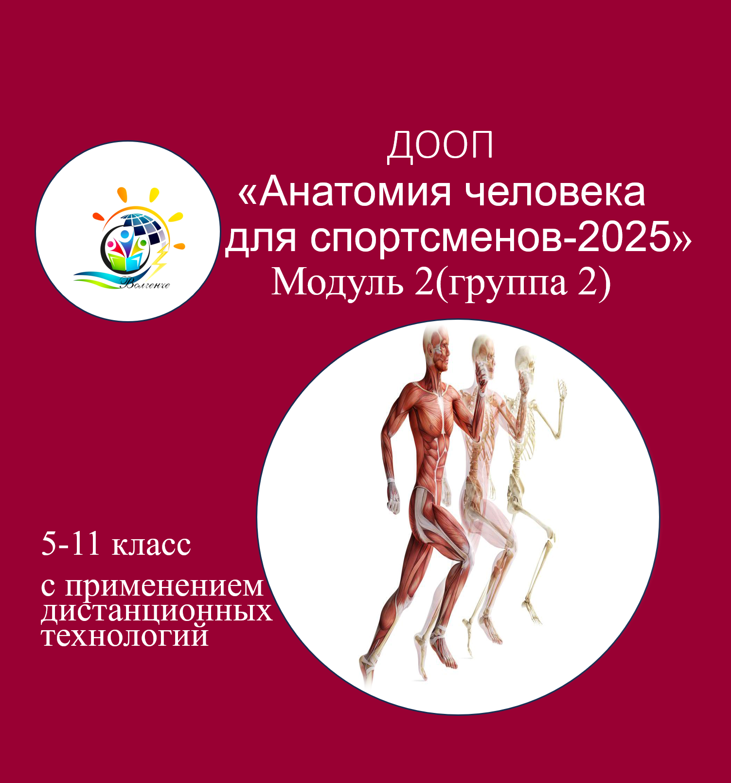 ДООП "Анатомия человека для спортсменов-2025" модуль 2, группа 2