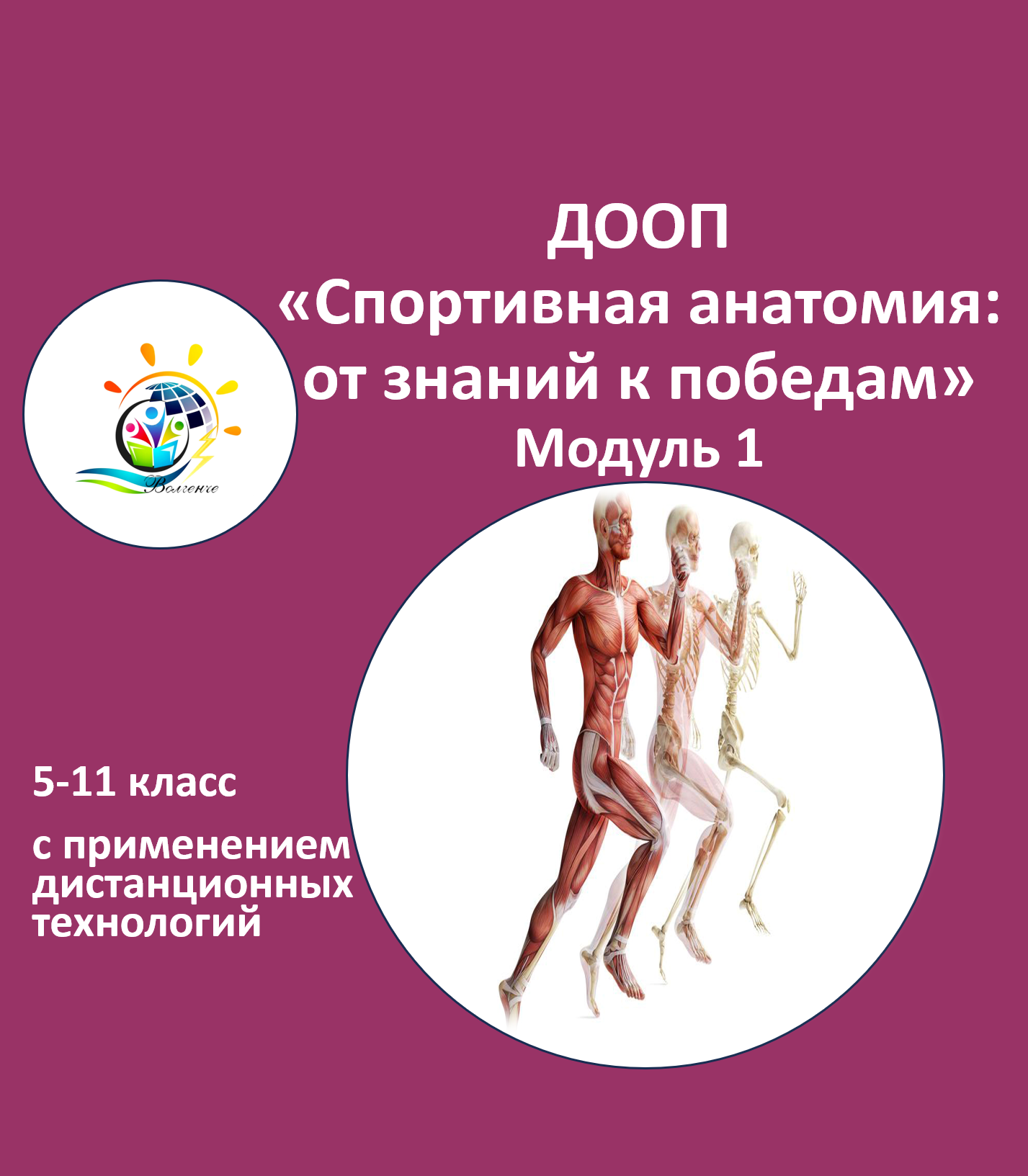 ДООП "Спортивная анатомия: от знаний к победам" Модуль 1