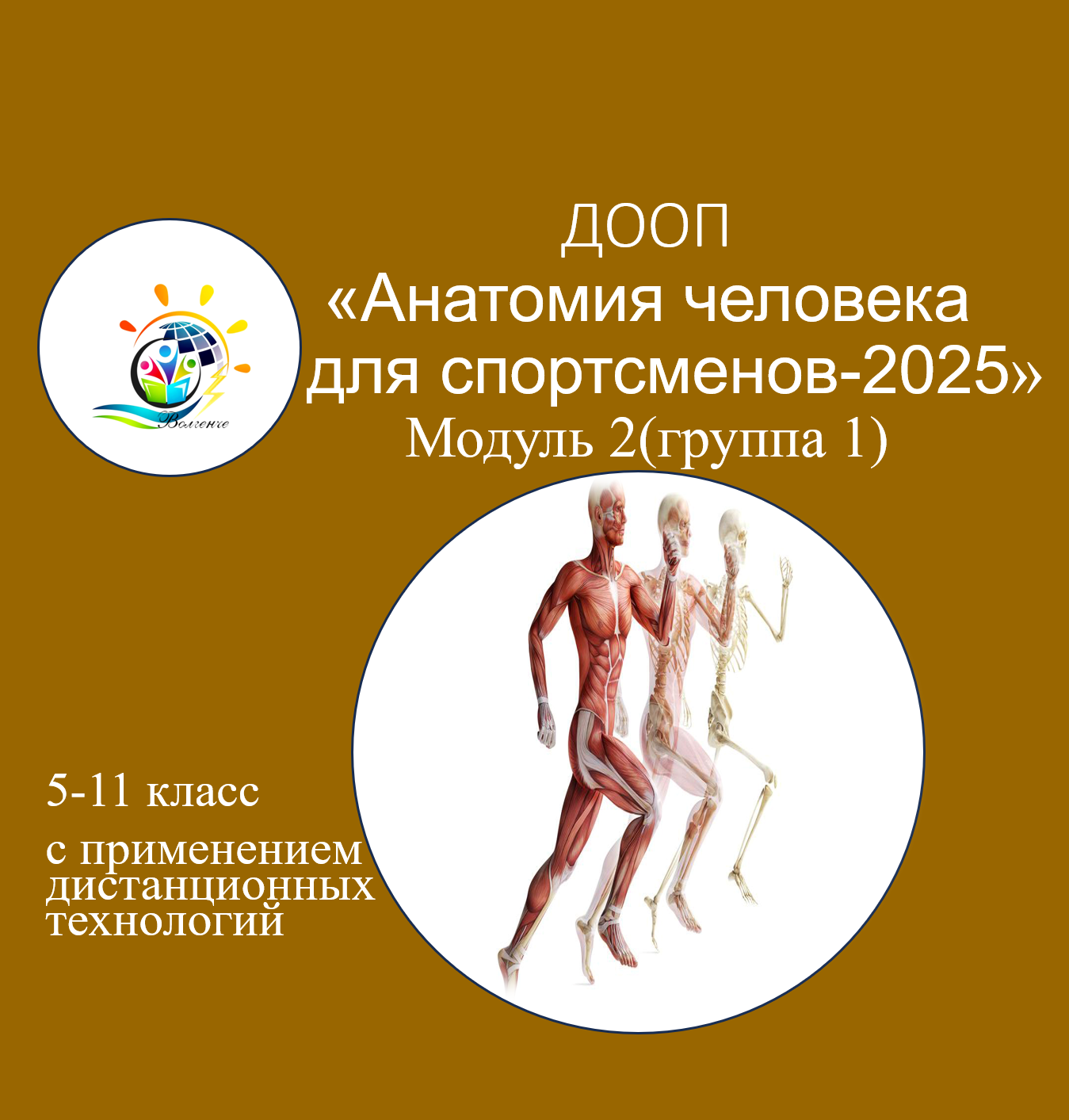 ДООП "Анатомия человека для спортсменов-2025" модуль 2, группа 1